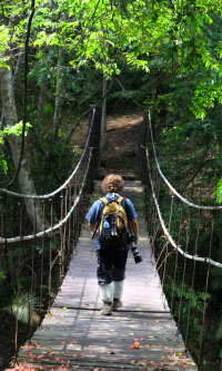 Guest crossing the hanging bridge
